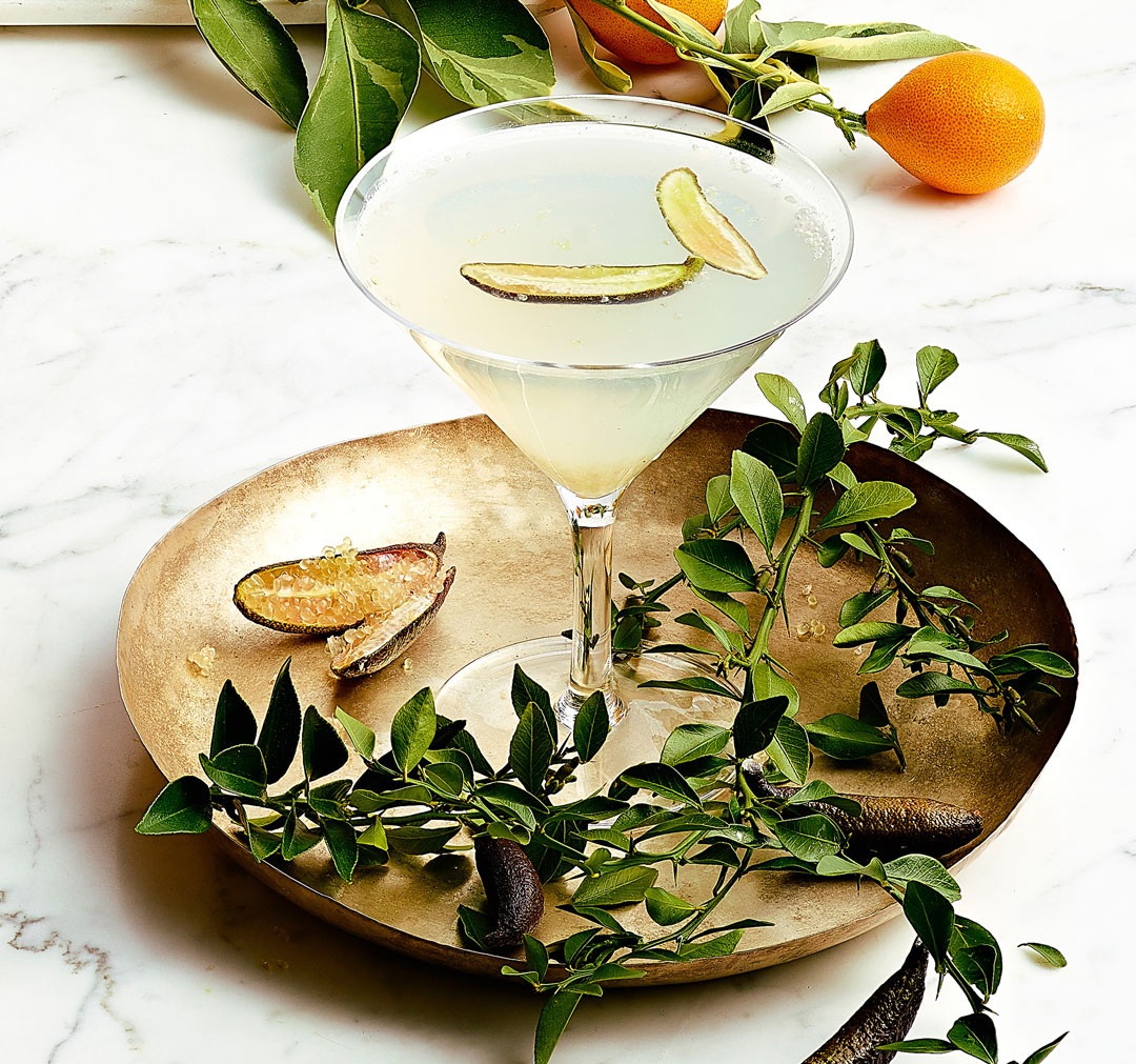 Finger Lime Vodka Gimlets