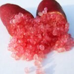 Red Finger Limes – Vibrant Citrus Caviar