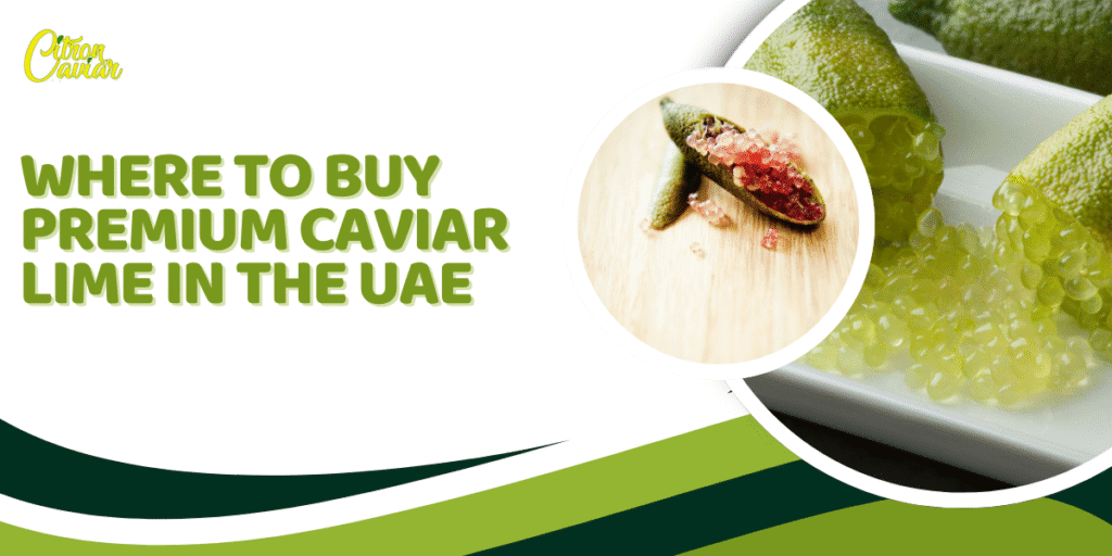 Where to Buy Premium Caviar Lime in the UAE