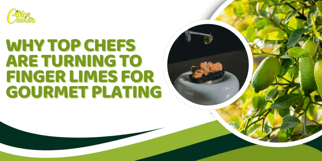 Why Top Chefs Are Turning to Finger Limes for Gourmet Plating