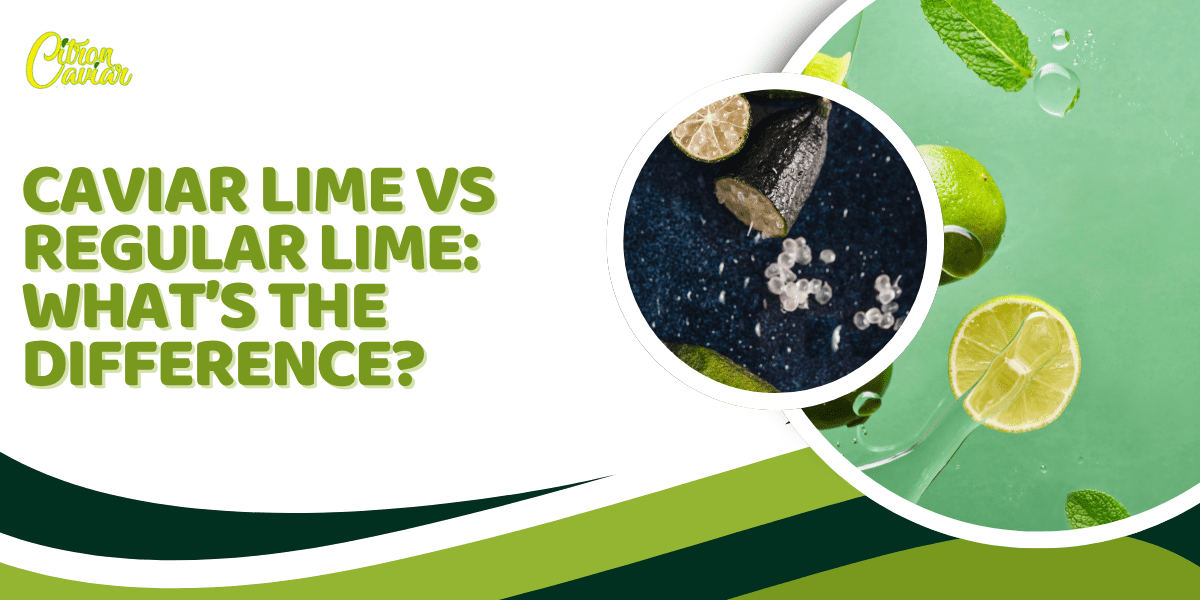 Caviar Lime vs Regular Lime: What’s the Difference?