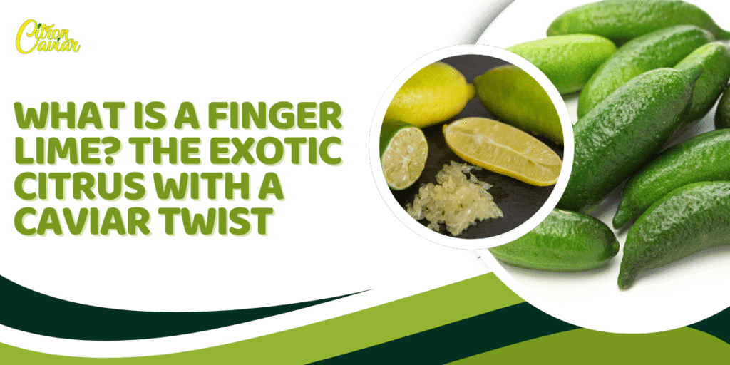 What Is A Finger Lime? The Exotic Citrus with a Caviar Twist