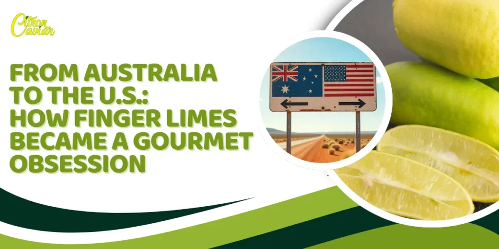 From Australia to the U.S.: How Finger Limes Became a Gourmet Obsession