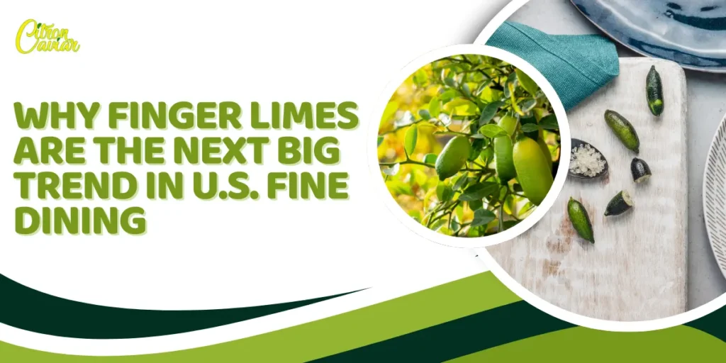 Why Finger Limes Are the Next Big Trend in U.S. Fine Dining