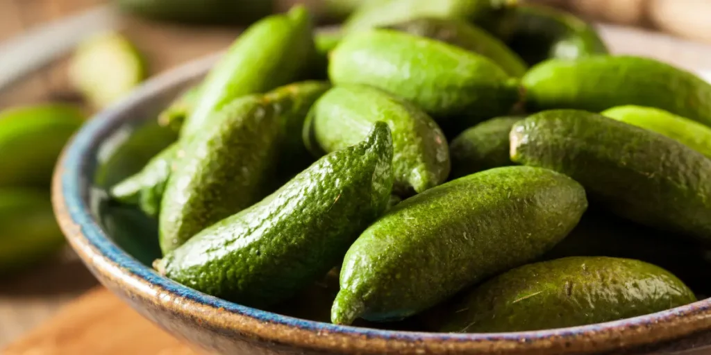 Finger Limes: A Rising Flavour in U.S. Fine Dining