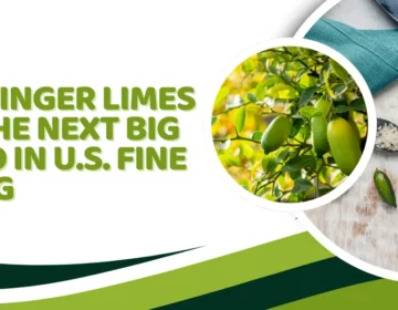 Why Finger Limes Are the Next Big Trend in U.S. Fine Dining