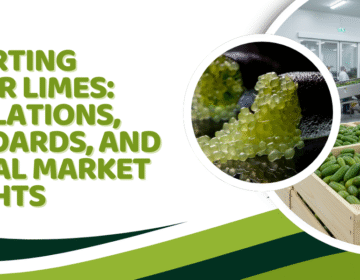 Exporting Finger Limes: Regulations, Standards, and Global Market Insights