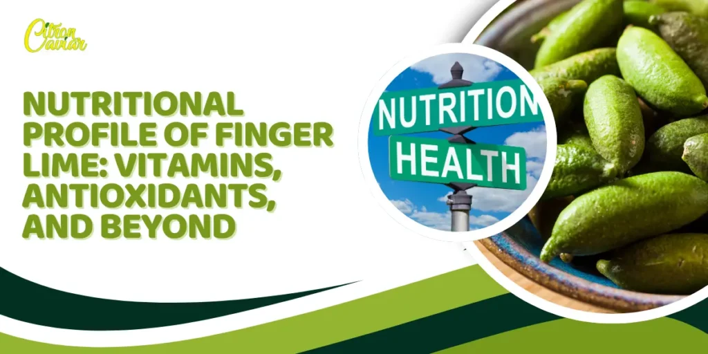 Nutritional Profile of Finger Lime: Vitamins, Antioxidants, and Beyond
