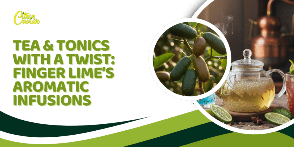 Finger Lime’s Aromatic Infusions - Creations