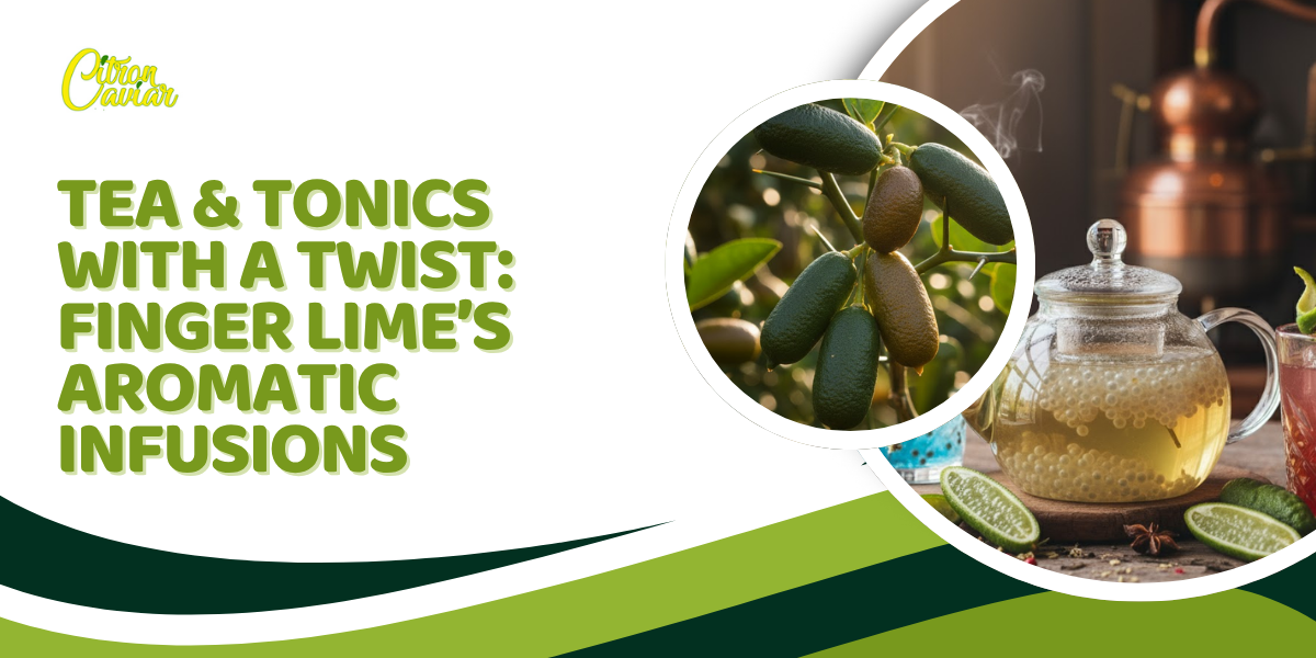 Finger Lime’s Aromatic Infusions - Creations