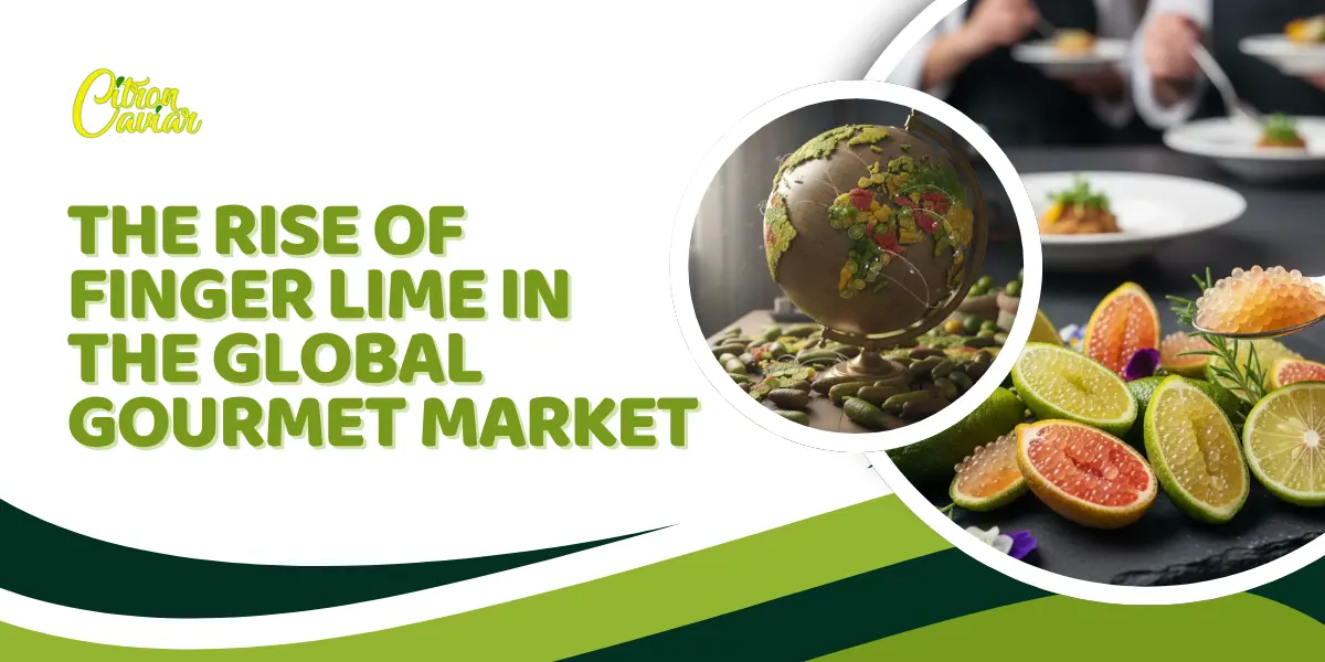 Finger Lime in the Global Gourmet Market
